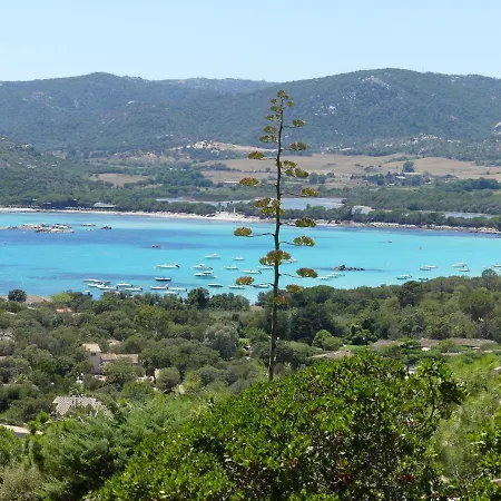 Mini Sur La Baie De Santa Giulia